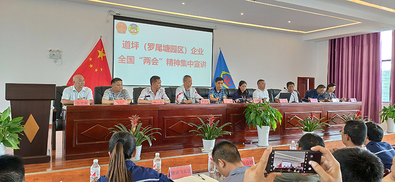 道坪（罗尾塘园区）企业“两会”精神集中宣讲在福泉川东召开